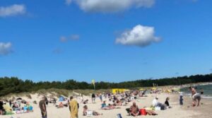 Läs mer om artikeln Öland har ett mycket bra turistår med en ökning i maj och september!